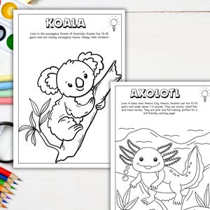 Dibujos para colorear de animales en peligro de extinción para niños: fichas educativas sobre la vida silvestre, fichas de aprendizaje divertidas y actividades para fomentar la concienciación sobre la conservación / Descargar PDF