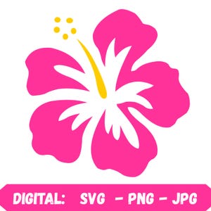 Hibiscus Flower Clipart: Tropical Hawaiian Design (PNG SVG JPG Digital Download)