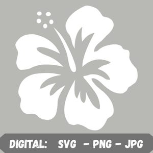 Peut inclure: Graphique de fleur d'hibiscus blanche sur fond gris. La fleur a de grands pétales arrondis et un pistil proéminent. Le bas de l'image contient le texte "DIGITAL: SVG - PNG - JPG".
