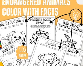 Kleurplaten van bedreigde dieren voor kinderen – Educatieve werkbladen over wilde dieren, leuke leerbladen en bewustwording over natuurbehoud | PDF-download