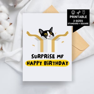 Carte d'anniversaire chat à imprimer - Surprise mon ami, carte de joyeux anniversaire, cartes d'anniversaire drôles, jeux de mots, carte drôle, carte de chat, carte de chat drôle