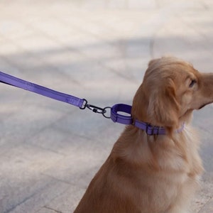 reflective dog lead