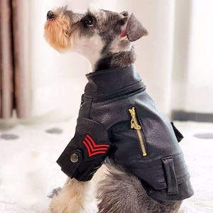 Dog biker top jacket uk