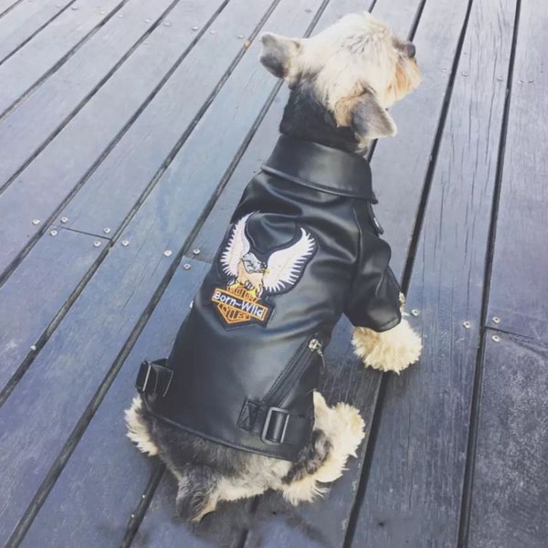 Leather Doggy Jacket. Dog Accessories. Puppy Clothes. Puppy Jacket. Clothes for Dogs.