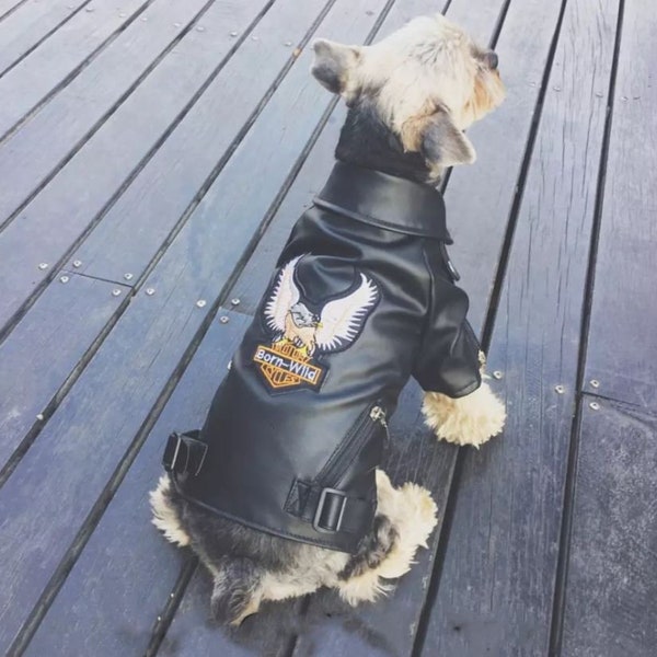 Veste de chien en cuir. Accessoires pour chiens. Vêtements pour chiots. Veste pour chiot. Vêtements pour chiens.