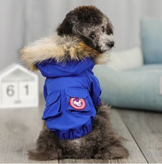 Canada goose dog jacket clearance australia