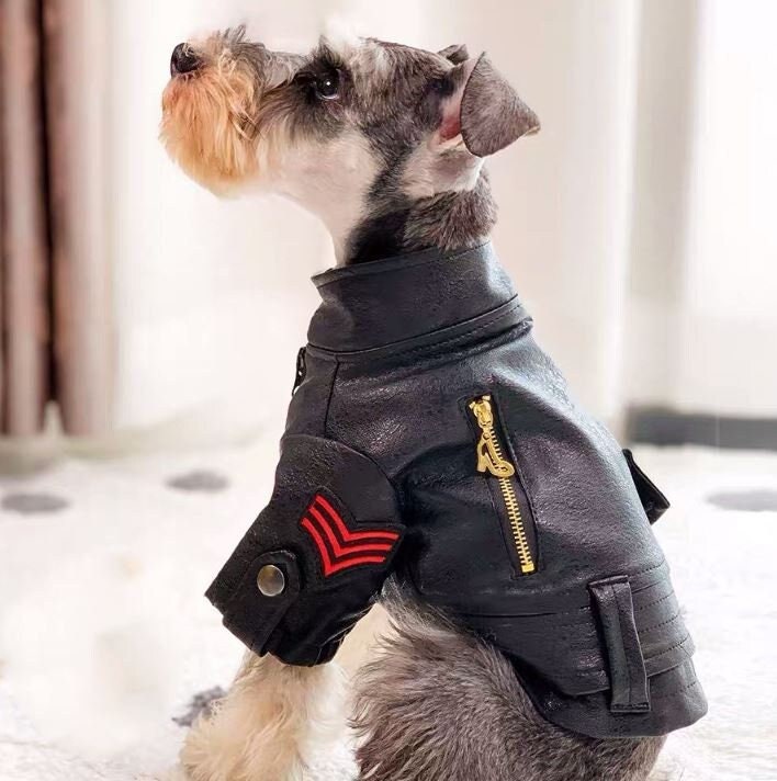 Puppy bomber hotsell jacket
