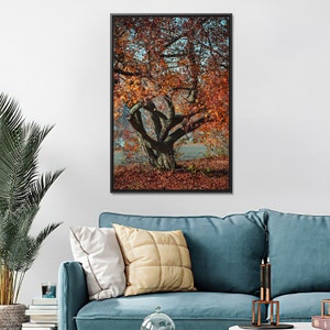 Bellissimo albero rosso autunnale su tela / Arte murale con venti autunnali / Decorazione per ufficio / Stampa con paesaggio naturale / Arte murale moderna per soggiorno