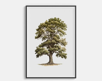 Oak Tree Print | Digital Tree Wall Art | Digital  Vintage Print | High-Quality Oak Tree Art Print| Tree Poster | Botanical Print