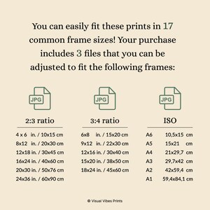 May include: A chart showing 17 common frame sizes for prints in three different aspect ratios: 2:3, 3:4, and ISO. The chart lists the dimensions in inches and centimetres. The text "You can easily fit these prints in 17 common frame sizes! Your purchase includes 3 files that you can be adjusted to fit the following frames:" is at the top of the chart.