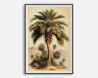 Impresión de arte de palmera vintage / decoración de pared tropical / descarga digital de palmera / cartel de pintura retro / impresión de arte botánico