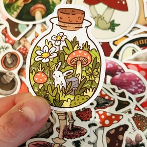 Aesthetic Mushroom Sticker Pack - Assorted Stationary Mushroom Stickers - Waterproof - Scrapbook - Junk Journal Stickers