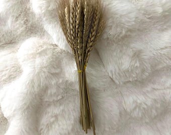 Wheat sprays