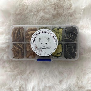 May include: A clear plastic container filled with various hamster treats. The treats include dried mealworms, crunchy snacks, sunflower seeds, and dehydrated vegetables. The container has a label with a hamster illustration and the text "ellashamstertreats".