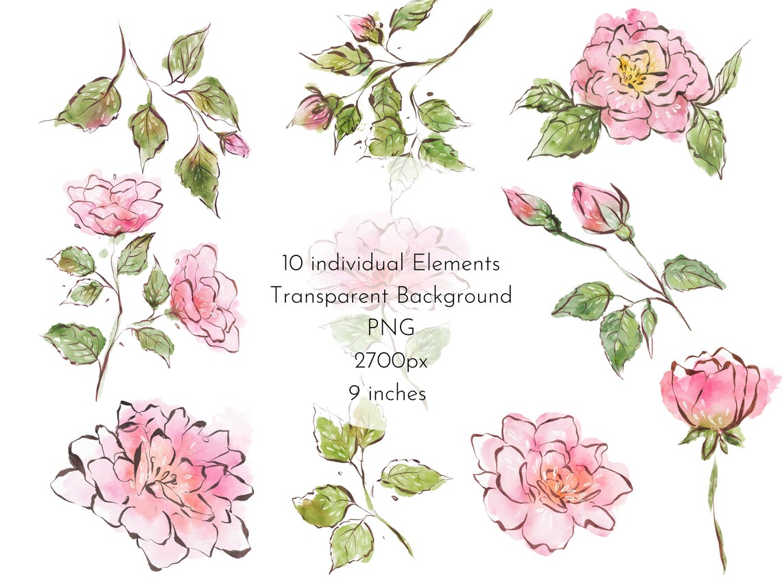 Roses Watercolor Clipart, Rose Floral PNG Clipart, Pink Flowers Clipart ...