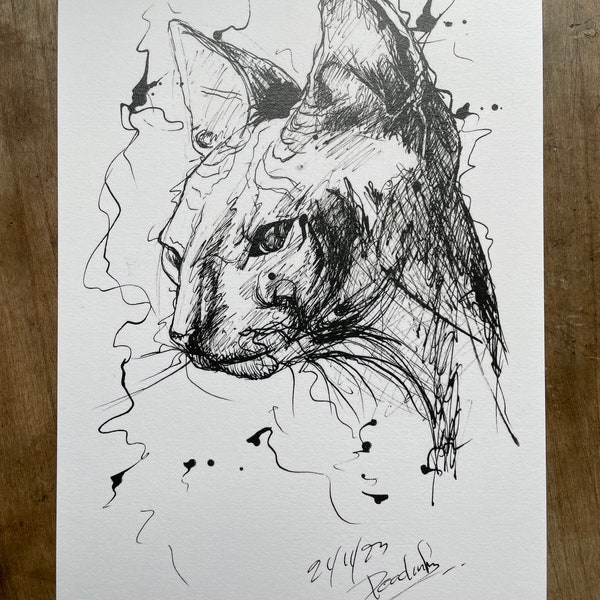 Dessin de chat à la plume et encre de Chine