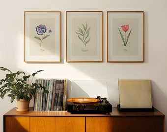 Neutral Botanical Gallery Print Set of 3 (Digital Poster)