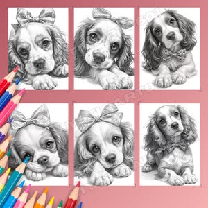 Spaniel, Coloring book, Dog coloring, Dog portrait, Spaniel coloring, Cute spaniel, Spaniel gift, Dog coloring book, Dog coloring pages, Spaniel art, Cocker spaniel, Printable coloring, Dog lover