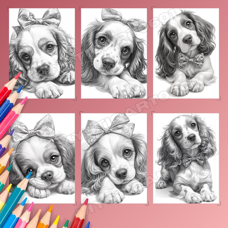 Spaniel, Coloring book, Dog coloring, Dog portrait, Spaniel coloring, Cute spaniel, Spaniel gift, Dog coloring book, Dog coloring pages, Spaniel art, Cocker spaniel, Printable coloring, Dog lover