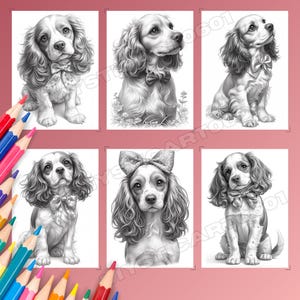 Spaniel, Coloring book, Dog coloring, Dog portrait, Spaniel coloring, Cute spaniel, Spaniel gift, Dog coloring book, Dog coloring pages, Spaniel art, Cocker spaniel, Printable coloring, Dog lover