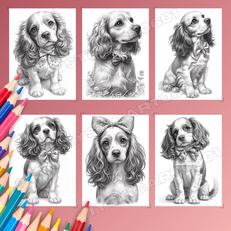Spaniel, Coloring book, Dog coloring, Dog portrait, Spaniel coloring, Cute spaniel, Spaniel gift, Dog coloring book, Dog coloring pages, Spaniel art, Cocker spaniel, Printable coloring, Dog lover