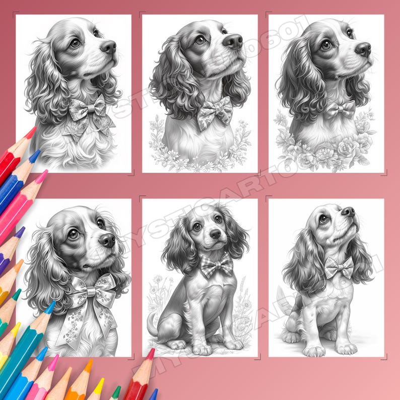Spaniel, Coloring book, Dog coloring, Dog portrait, Spaniel coloring, Cute spaniel, Spaniel gift, Dog coloring book, Dog coloring pages, Spaniel art, Cocker spaniel, Printable coloring, Dog lover