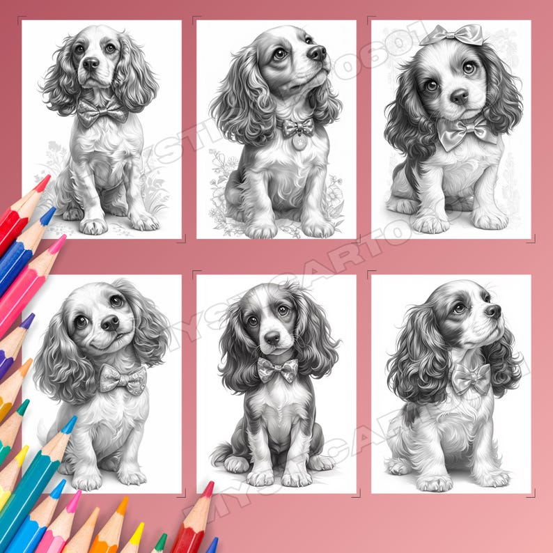 Spaniel, Coloring book, Dog coloring, Dog portrait, Spaniel coloring, Cute spaniel, Spaniel gift, Dog coloring book, Dog coloring pages, Spaniel art, Cocker spaniel, Printable coloring, Dog lover
