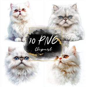 水彩画のペルシャ猫のクリップアート – 10 種類のかわいい猫のイラスト、クリエイティブなプロジェクトに最適、リアルな猫のクリップアート、商用利用可