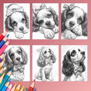 Spaniel, Coloring book, Dog coloring, Dog portrait, Spaniel coloring, Cute spaniel, Spaniel gift, Dog coloring book, Dog coloring pages, Spaniel art, Cocker spaniel, Printable coloring, Dog lover