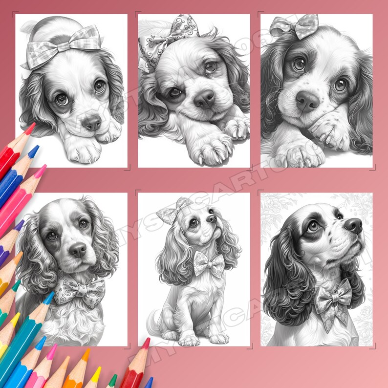 Spaniel, Coloring book, Dog coloring, Dog portrait, Spaniel coloring, Cute spaniel, Spaniel gift, Dog coloring book, Dog coloring pages, Spaniel art, Cocker spaniel, Printable coloring, Dog lover