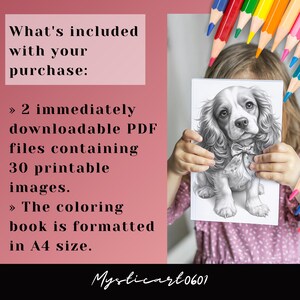 Spaniel, Coloring book, Dog coloring, Dog portrait, Spaniel coloring, Cute spaniel, Spaniel gift, Dog coloring book, Dog coloring pages, Spaniel art, Cocker spaniel, Printable coloring, Dog lover