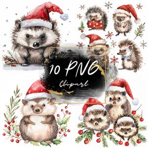 Clipart aquarelle hérisson bonnet de Noel, hérissons mignons en bonnets de Noel, illustrations d'animaux de vacances, 10 graphiques PNG, usage commercial