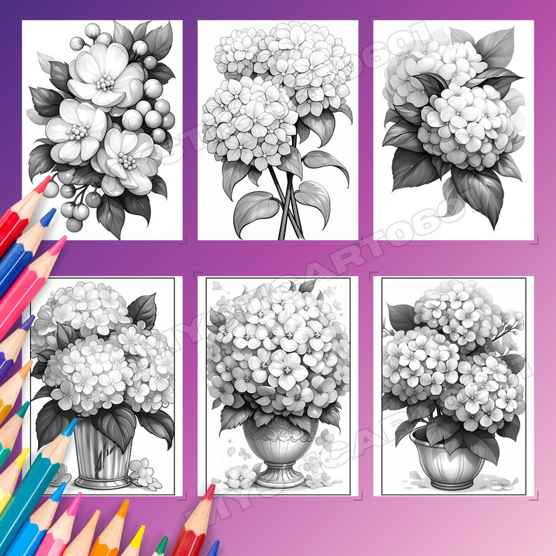 Hydrangea Flowers Coloring Book – 30 Page Grayscale Floral Art ...