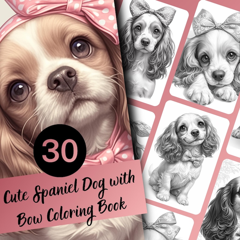 Spaniel, Coloring book, Dog coloring, Dog portrait, Spaniel coloring, Cute spaniel, Spaniel gift, Dog coloring book, Dog coloring pages, Spaniel art, Cocker spaniel, Printable coloring, Dog lover