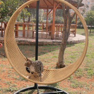 May include: A brown tabby cat sits in a large, round, woven wicker swing hanging from a black metal frame. The swing is suspended over a grassy area with a wooden gazebo in the background.