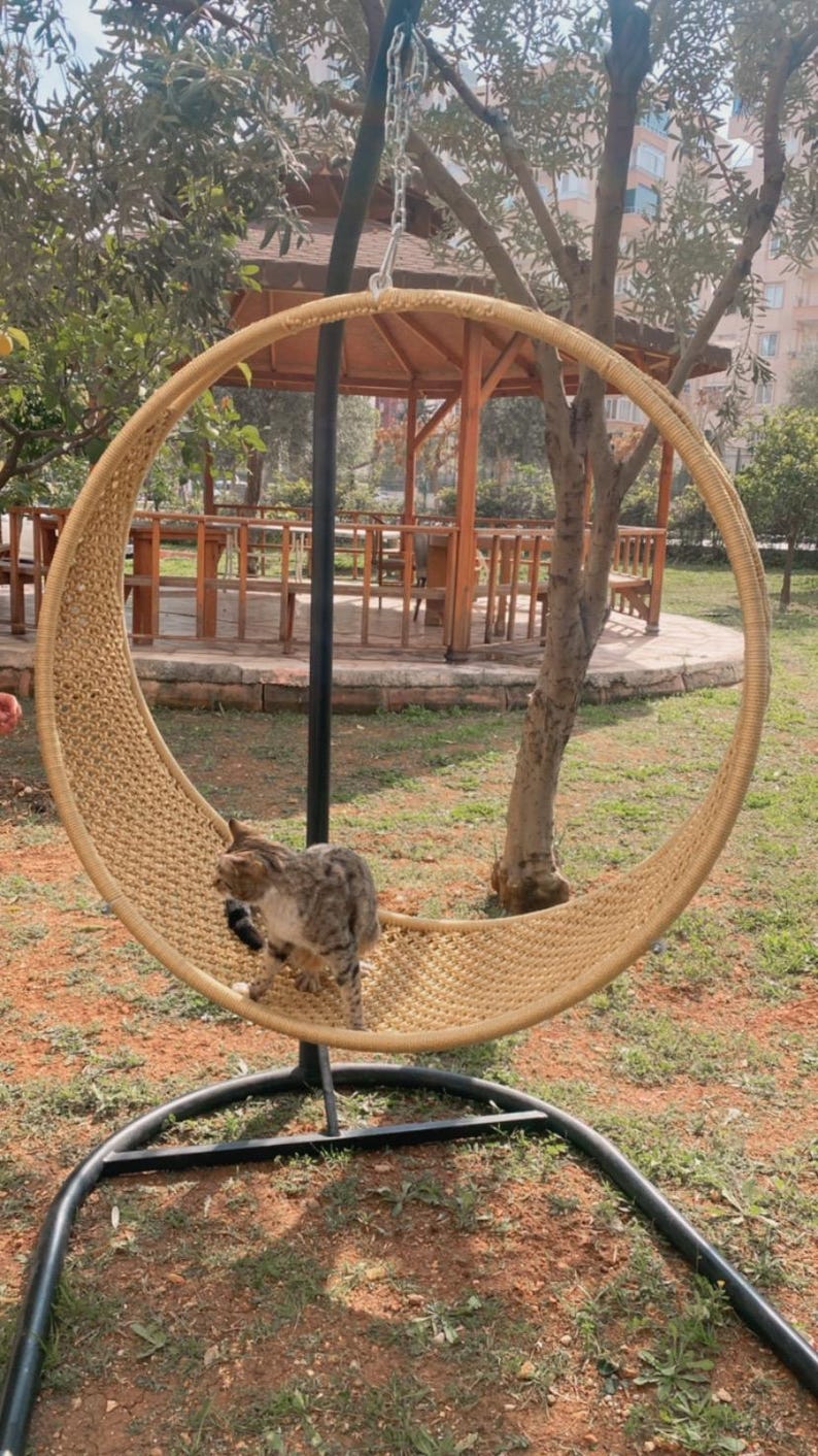 May include: A brown tabby cat sits in a large, round, woven wicker swing hanging from a black metal frame. The swing is suspended over a grassy area with a wooden gazebo in the background.
