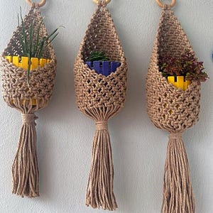 May include: Three macrame plant hangers with wooden rings at the top and tassels at the bottom. Each hanger holds a small potted plant.