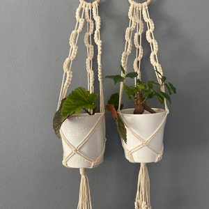 May include: Two white ceramic pots with plants hanging from macrame plant hangers. The hangers are made of natural white cotton rope and have wooden rings at the top.