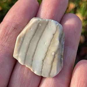 以下が含まれることがあります： 白とグレーの縞模様が入った縞瑪瑙のクローズアップ。石は滑らかで、自然で不規則な形をしています。