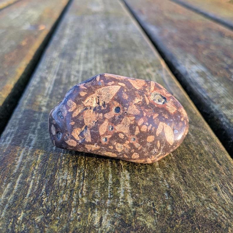 Porphir Thick Polished Porphyry With Big Crystals, Cross-like Feldspar Crystals ...