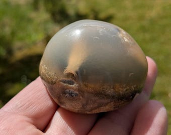 ウニの化石 バソニアン 中期ジュラ紀 1～2インチ 10個 - Etsy 日本