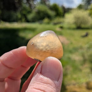 May include: A translucent, amber-colored stone with a rounded triangular shape. The stone has a smooth, polished surface with a few small inclusions. The background is a blurred view of green grass and trees.