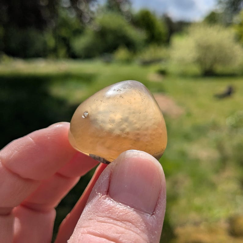May include: A translucent, amber-colored stone with a rounded triangular shape. The stone has a smooth, polished surface with a few small inclusions. The background is a blurred view of green grass and trees.