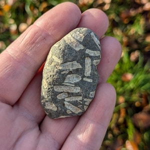 Peut inclure: Gros plan sur une roche grise et blanche avec un motif unique. La roche a une surface lisse et arrondie et est tenue dans une main.