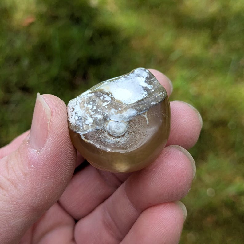 May include: A polished, rounded stone with a translucent, amber-brown body. The top surface features a patch of white and gray mineral deposits. A small, white, circular feature is visible on the stone's surface.