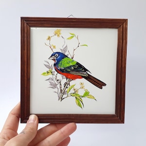Könnte beinhalten: Eine gerahmte Fliese mit einem gemalten Bild eines blauen, grünen und roten Vogels, der auf einem Zweig mit grünen Blättern und gelben Blüten sitzt.