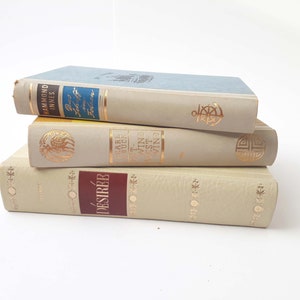 Könnte beinhalten: Ein Stapel von vier Vintage-Hardcover-Büchern mit goldenen Schriftzügen und dekorativen Designs auf den Rückseiten. Das oberste Buch hat einen hellblauen Einband mit einem goldenen Anker-Design. Das zweite Buch hat einen cremefarbenen Einband mit einem goldenen Vogel-Design. Das dritte Buch hat einen cremefarbenen Einband mit einem goldenen Kompass-Design. Das unterste Buch hat einen cremefarbenen Einband mit einem burgunderroten Rücken und goldenen Schriftzügen, die "Desiree" lesen.