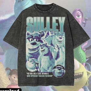 May include: A dark gray oversized t-shirt featuring the word "SULLEY" in large, light blue letters. The shirt has a graphic of the Sulley character from the movie Monsters, Inc. The text "YOU AND I ARE A TEAM, NOTHING IS MORE IMPORTANT THAN OUR FRIENDSHIP." is also visible.