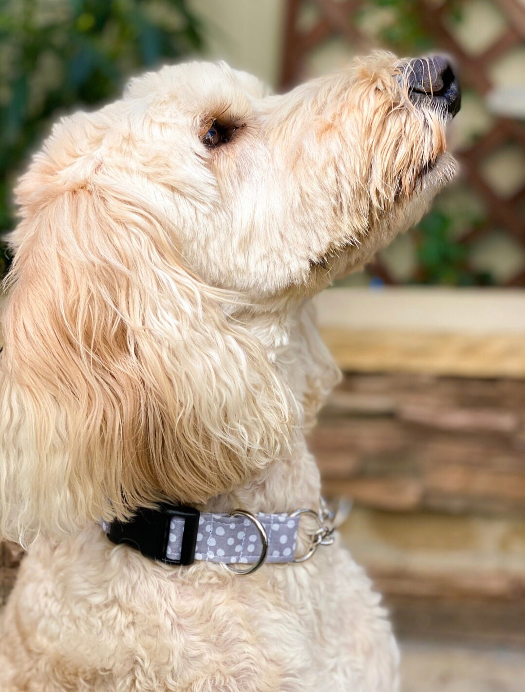 3/4 19mm Martingale Chain, Half Check Chain, Metal Hardware, Martingale