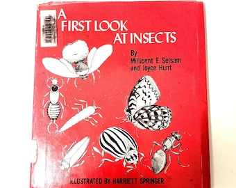 Insects Book: 1974 First Look by Selsam & Hunt, Illustrated Hardcover (Ex-Library)